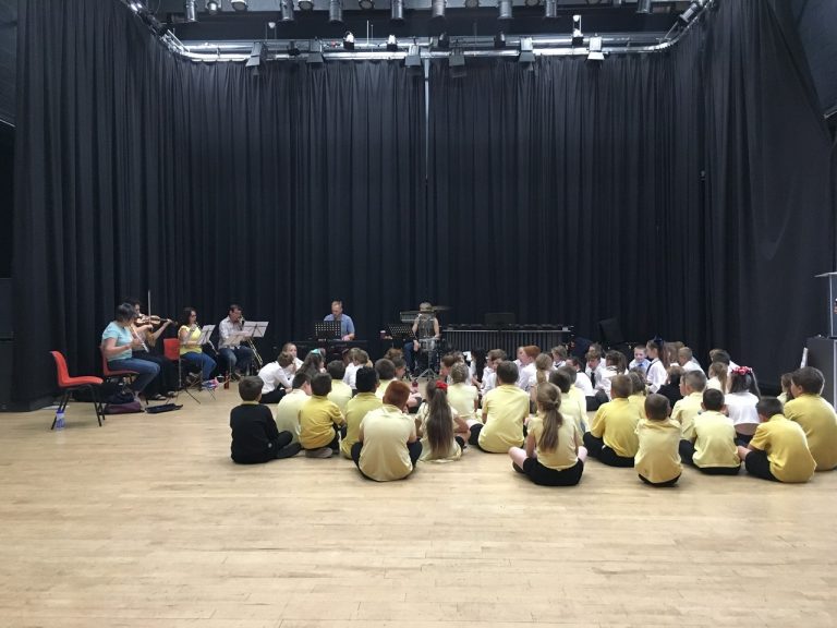 School support with Camerata in the Community