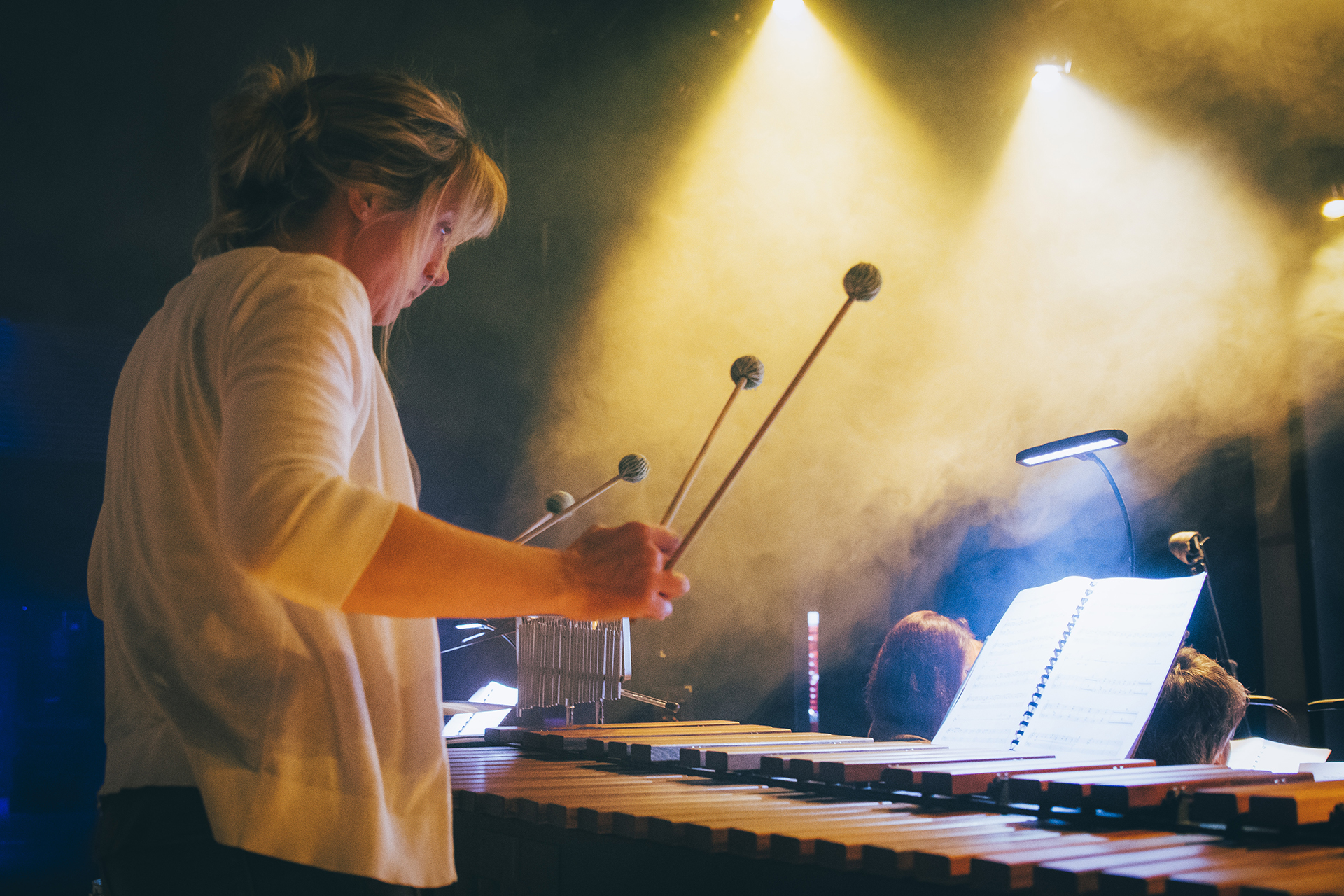 Camerata in the Community