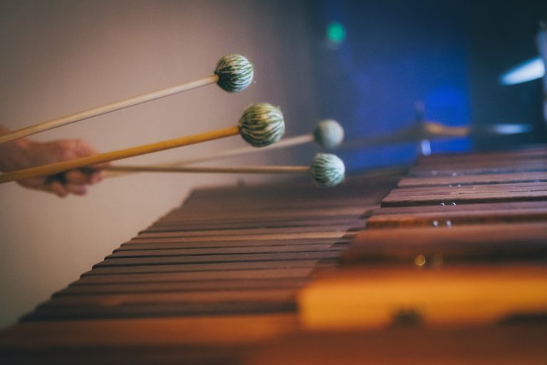 Percussion with Camerata