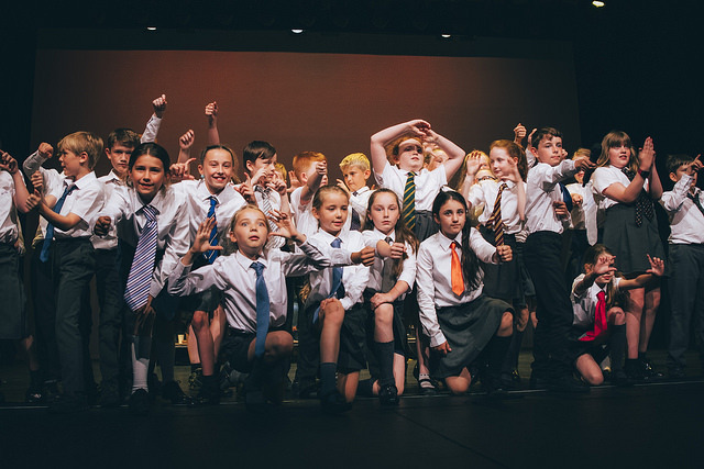 Schools with Camerata in the Community